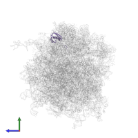 Small ribosomal subunit protein uS9 in PDB entry 6zm7, assembly 1, side view.