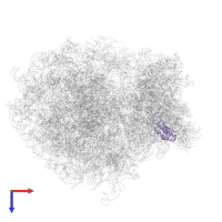 Small ribosomal subunit protein uS9 in PDB entry 6zm7, assembly 1, top view.