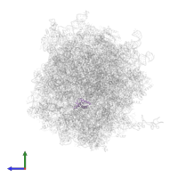 Cell growth-regulating nucleolar protein in PDB entry 6zmo, assembly 1, side view.