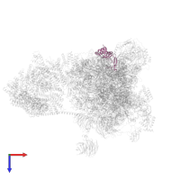 Small ribosomal subunit protein eS8 in PDB entry 6zmw, assembly 1, top view.