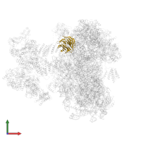 Small ribosomal subunit protein RACK1 in PDB entry 6zmw, assembly 1, front view.