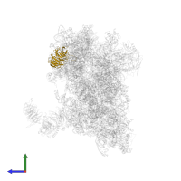 Small ribosomal subunit protein RACK1 in PDB entry 6zmw, assembly 1, side view.