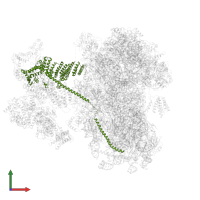 Eukaryotic translation initiation factor 3 subunit A in PDB entry 6zmw, assembly 1, front view.