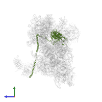 Eukaryotic translation initiation factor 3 subunit A in PDB entry 6zmw, assembly 1, side view.