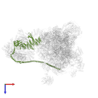 Eukaryotic translation initiation factor 3 subunit A in PDB entry 6zmw, assembly 1, top view.