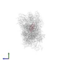 Small ribosomal subunit protein uS9 in PDB entry 6zn5, assembly 1, side view.