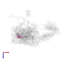 Small ribosomal subunit protein uS12 in PDB entry 6zon, assembly 1, top view.