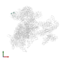 Ubiquitin-ribosomal protein eS31 fusion protein in PDB entry 6zon, assembly 1, front view.