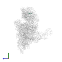 Ubiquitin-ribosomal protein eS31 fusion protein in PDB entry 6zon, assembly 1, side view.