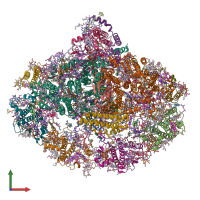 PDB entry 6zoo coloured by chain, front view.