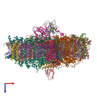 PDB entry 6zoo coloured by chain, top view.