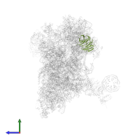 Small ribosomal subunit protein RACK1 in PDB entry 6zp4, assembly 1, side view.