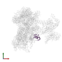 Small ribosomal subunit protein eS7 in PDB entry 6zp4, assembly 1, front view.