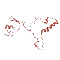 The deposited structure of PDB entry 6zs9 contains 1 copy of Pfam domain PF09809 (Mitochondrial ribosomal protein L27) in Large ribosomal subunit protein mL41. Showing 1 copy in chain J [auth 9].