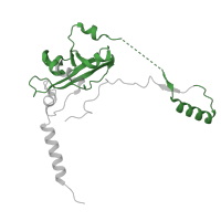 The deposited structure of PDB entry 6zs9 contains 1 copy of Pfam domain PF16053 (Mitochondrial 28S ribosomal protein S34) in Small ribosomal subunit protein mS34. Showing 1 copy in chain L [auth A0].
