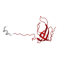 The deposited structure of PDB entry 6zs9 contains 1 copy of Pfam domain PF00164 (Ribosomal protein S12/S23) in Small ribosomal subunit protein uS12m. Showing 1 copy in chain AA [auth AJ].