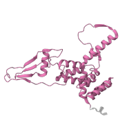 The deposited structure of PDB entry 6zs9 contains 1 copy of Pfam domain PF10245 (Mitochondrial 28S ribosomal protein S22) in Small ribosomal subunit protein mS22. Showing 1 copy in chain IA [auth AR].