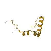 The deposited structure of PDB entry 6zs9 contains 1 copy of Pfam domain PF00468 (Ribosomal protein L34) in Large ribosomal subunit protein bL34m. Showing 1 copy in chain C [auth 2].