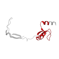 The deposited structure of PDB entry 6zs9 contains 1 copy of Pfam domain PF01281 (Ribosomal protein L9, N-terminal domain) in Large ribosomal subunit protein bL9m. Showing 1 copy in chain VA [auth XH].