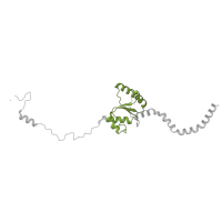 The deposited structure of PDB entry 6zs9 contains 1 copy of Pfam domain PF00466 (Ribosomal protein L10) in Large ribosomal subunit protein uL10m. Showing 1 copy in chain WA [auth XI].