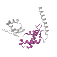 The deposited structure of PDB entry 6zs9 contains 1 copy of Pfam domain PF00298 (Ribosomal protein L11, RNA binding domain) in Large ribosomal subunit protein uL11m. Showing 1 copy in chain XA [auth XJ].