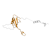 The deposited structure of PDB entry 6zs9 contains 1 copy of Pfam domain PF00276 (Ribosomal protein L23) in Large ribosomal subunit protein uL23m. Showing 1 copy in chain IB [auth XU].