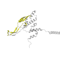 The deposited structure of PDB entry 6zs9 contains 1 copy of Pfam domain PF00830 (Ribosomal L28 family) in Large ribosomal subunit protein bL28m. Showing 1 copy in chain LB [auth XX].