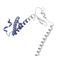 The deposited structure of PDB entry 6zs9 contains 1 copy of Pfam domain PF06984 (Mitochondrial 39-S ribosomal protein L47 (MRP-L47)) in Large ribosomal subunit protein uL29m. Showing 1 copy in chain MB [auth XY].