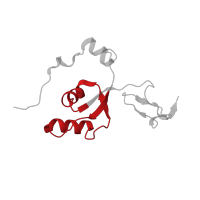 The deposited structure of PDB entry 6zs9 contains 1 copy of Pfam domain PF00327 (Ribosomal protein L30p/L7e) in Large ribosomal subunit protein uL30m. Showing 1 copy in chain NB [auth XZ].