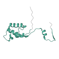 The deposited structure of PDB entry 6zs9 contains 1 copy of Pfam domain PF10501 (Ribosomal subunit 39S) in Large ribosomal subunit protein mL50. Showing 1 copy in chain VB [auth h].