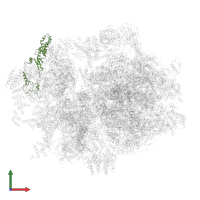 Small ribosomal subunit protein mS35 in PDB entry 6zs9, assembly 1, front view.