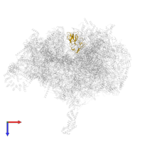 Large ribosomal subunit protein uL2m in PDB entry 6zsb, assembly 1, top view.