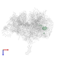 Large ribosomal subunit protein uL22m in PDB entry 6zsb, assembly 1, top view.