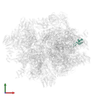 Large ribosomal subunit protein mL43 in PDB entry 6zsb, assembly 1, front view.