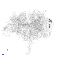 Large ribosomal subunit protein mL50 in PDB entry 6zsb, assembly 1, top view.