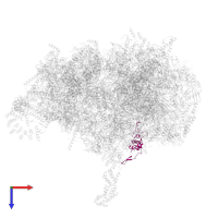 Large ribosomal subunit protein mL66 in PDB entry 6zsc, assembly 1, top view.