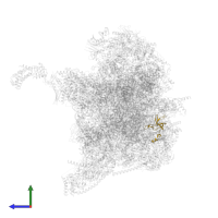 Small ribosomal subunit protein bS1m in PDB entry 6zsd, assembly 1, side view.