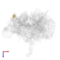 Small ribosomal subunit protein bS1m in PDB entry 6zsd, assembly 1, top view.