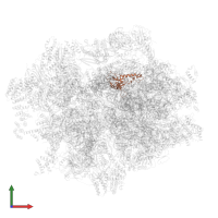 Large ribosomal subunit protein uL16m in PDB entry 6zsd, assembly 1, front view.