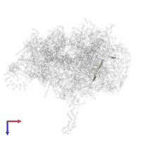 Large ribosomal subunit protein mL63 in PDB entry 6zsd, assembly 1, top view.