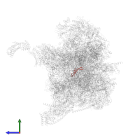 Messenger RNA in PDB entry 6zsd, assembly 1, side view.