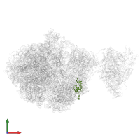 Small ribosomal subunit protein uS5 in PDB entry 6ztj, assembly 1, front view.
