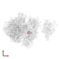 Small ribosomal subunit protein uS12 in PDB entry 6ztn, assembly 1, front view.