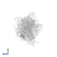 Small ribosomal subunit protein uS8 in PDB entry 6ztn, assembly 1, side view.