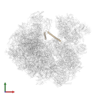 Lso2 in PDB entry 6zu5, assembly 1, front view.
