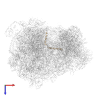 Lso2 in PDB entry 6zu5, assembly 1, top view.