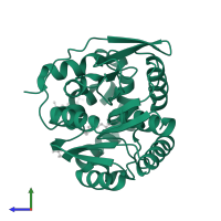 Haloalkane dehalogenase in PDB entry 6zvx, assembly 1, side view.