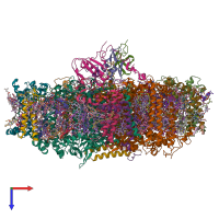 PDB entry 6zxs coloured by chain, top view.