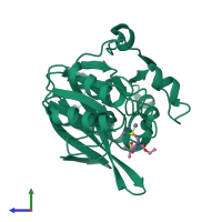 Monomeric assembly 2 of PDB entry 6zyq coloured by chemically distinct molecules, side view.