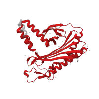The deposited structure of PDB entry 7a0h contains 2 copies of Pfam domain PF01267 (F-actin capping protein alpha subunit) in F-actin-capping protein subunit alpha. Showing 1 copy in chain A.